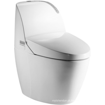 Ceramic Intelligent Toilet de alta qualidade (JN30801)